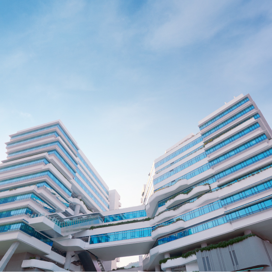 Technological and Higher Education Institute of Hong Kong Chai Wan